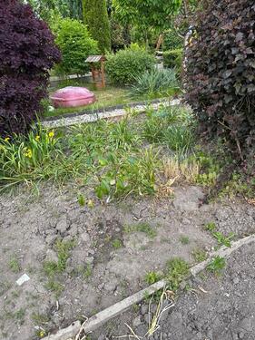 Foto - Grundst&uuml;ck in Stollberg (Erzgebirge)