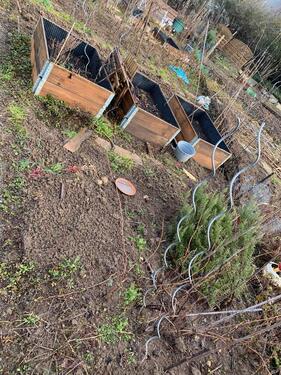 Foto - Pliensauvorstadt- Gartenparzelle zu verpachten