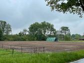 Foto - Ackerland Grünland Wiese Ausgleichsfläche Pferde