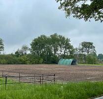 Ackerland Grünland Wiese Ausgleichsfläche Pferde - Straelen