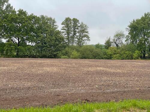 Foto - Grundst&uuml;ck in Straelen