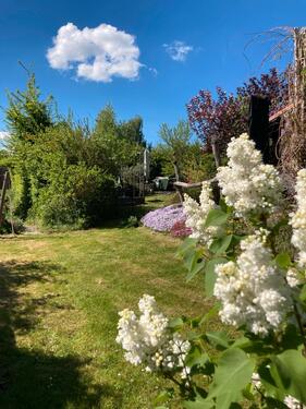 Foto - Grundst&uuml;ck in Stolpen zur Miete