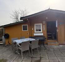 Kleingarten - 300,00&nbsp;EUR Kaltmiete, ca.&nbsp; 0,00&nbsp;m&sup2; in Chemnitz (PLZ: 09119) Kapellenberg