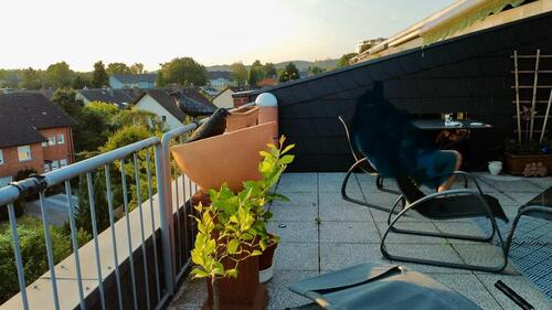 Foto - 4 Zimmer Maisonettenwohnung zum Kaufen in Bielefeld