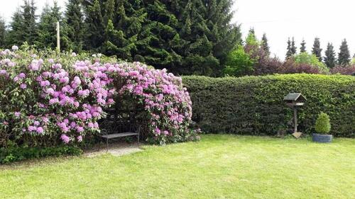 Foto - andere in Ötzingen