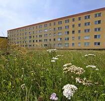 Neu renovierte 3-Raumwohnung mit Balkon - Sandersdorf-Brehna