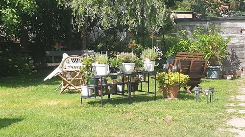 Foto - Etagenwohnung in Eberswalde zur Miete