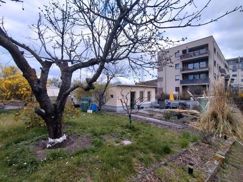 Foto - Gartenpartner in Friedenseck e.V.