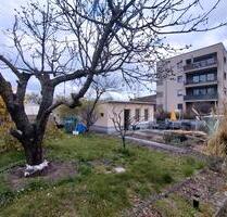 Gartenpartner in Friedenseck e.V. - Dresden Neustadt