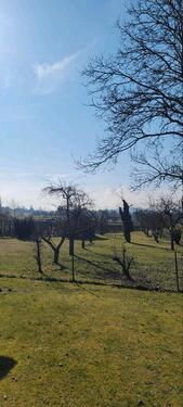 Foto - Freizeitgrundstück Garten Wiese