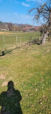 Foto - Grundst&uuml;ck zur Miete in Kirchensittenbach