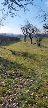 Foto - Grundst&uuml;ck in Kirchensittenbach zur Miete