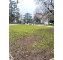 WG 1 Zimmer noch frei - 400,00&nbsp;EUR Kaltmiete, ca.&nbsp; 85,00&nbsp;m&sup2; in Worms (PLZ: 67547)