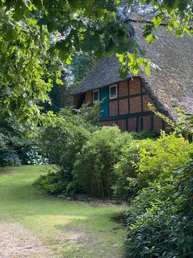 Foto - Großes Grundstück mit sanierten Reetdach Haus