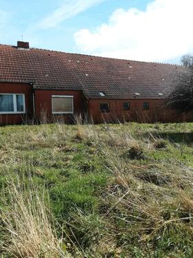 Foto - Bauernhaus, Landhaus in Ostrhauderfehn zum Kaufen