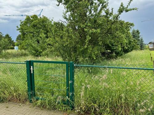 Foto - 627m² Garten Wiese Weide in Granterath zu verpachten vermieten