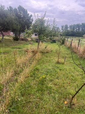 Foto - Kleiner Garten – wir verpachten unser Grundstück in Zülpich-Geich