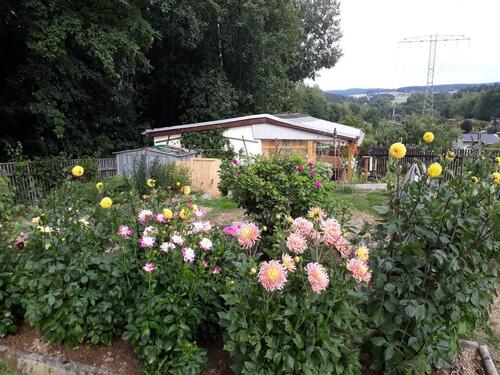 Foto - Grundst&uuml;ck zur Miete in Plauen