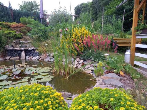 Foto - Grundst&uuml;ck in Plauen