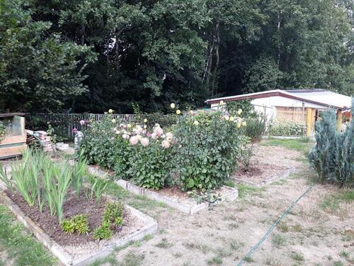 Foto - Grundst&uuml;ck in Plauen zur Miete