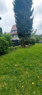 Foto - Etagenwohnung in Seesen zur Miete