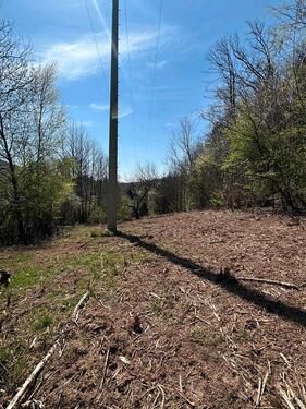 Foto - Grundst&uuml;ck in Annweiler am Trifels zur Miete