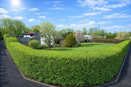 Foto - Grundst&uuml;ck zur Miete in Wilhelmshaven