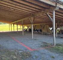 Stellplätze - 40,00 EUR Miete, in Nieheim (PLZ: 33039)