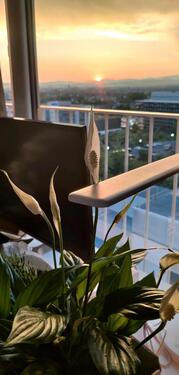 Foto - 1.5 Zimmer Etagenwohnung in Frankfurt am Main