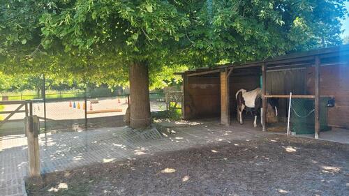 Foto - Wohnen mit Pferden - 275.000,00 EUR Kaufpreis,