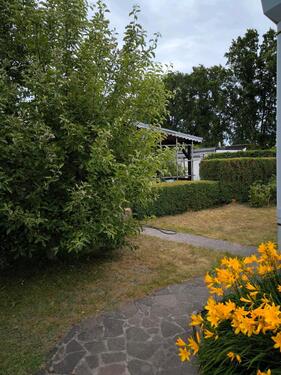 Foto - Grundstück in Brandenburg an der Havel