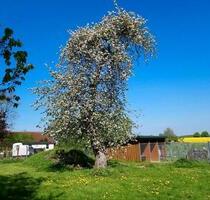 für Tierliebhaber, Pferde, Hunde, Schafe usw.,50 km südl. Rostock - Jördenstorf