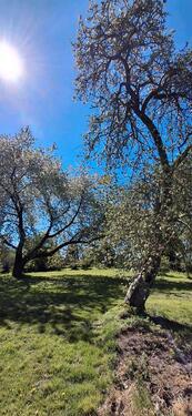 Foto - Einfamilienhaus in Jördenstorf zum Kaufen