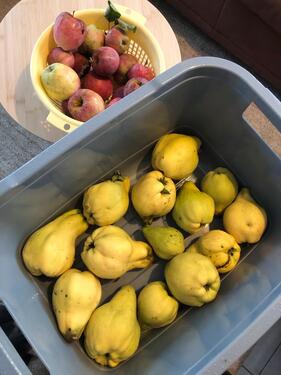 Foto - Grundst&uuml;ck zur Miete in Schwarzhofen