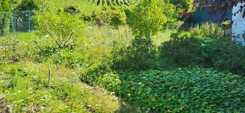 Foto - Einfamilienhaus in Cochem zum Kaufen