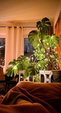 Foto - 2 Zimmer andere in Hamburg