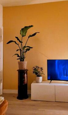 Foto - andere in Hamburg zur Miete