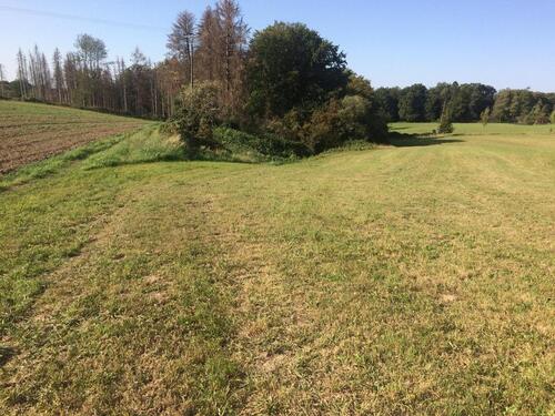 Foto - Weide Heu-Wiese zu verpachten in 51429 Bergisch Gladb. Herkenrath