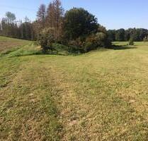 Weide Heu-Wiese zu verpachten in 51429 Bergisch Gladb. Herkenrath - Bergisch Gladbach Alt-Frankenforst