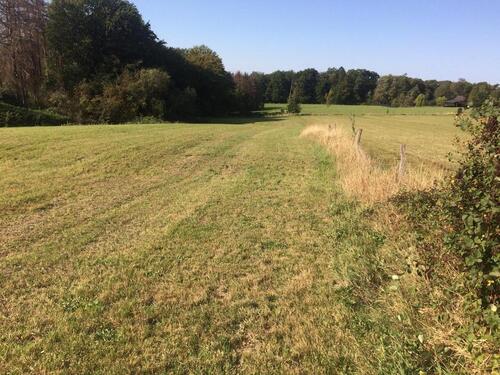 Foto - Grundst&uuml;ck in Bergisch Gladbach