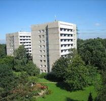 Schöner Wohnen in einer interessanten 1-Zi.-Single-Wohnung - Hamburg Altona