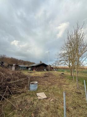 Foto - Kleingarten abzugeben. Nähe Bockenem
