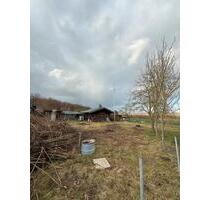 Kleingarten abzugeben. Nähe Bockenem - Hildesheim