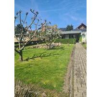 Kleingarten mit Kamin, Bad und Terrasse - Delitzsch