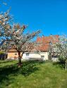 Foto - Mehrfamilienhaus, Wohnhaus in Weyhausen zum Kaufen