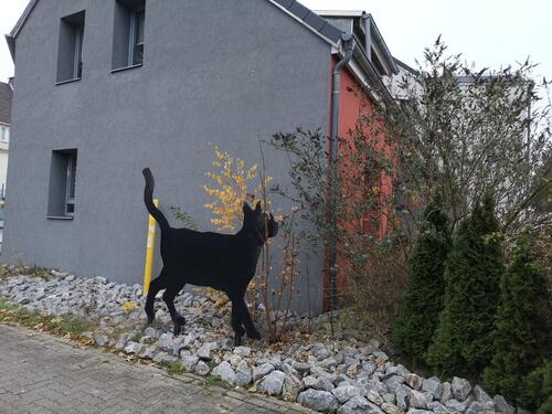 Foto - 4 Zimmer Reihenhaus in Peine