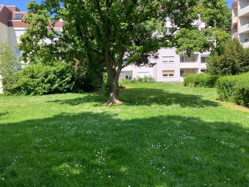 Foto - Verkauf: vermietete 3-Zi -EG Wohnung 79111 FR mit TG Platz
