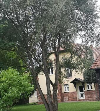 Foto - Etagenwohnung zur Miete in Brandenburg an der Havel