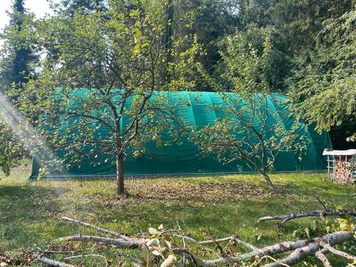 Foto - andere zur Miete in Großrosseln