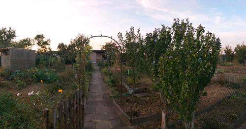 Foto - Schöner Garten (580 qm) mit Gartenhaus zu pachten